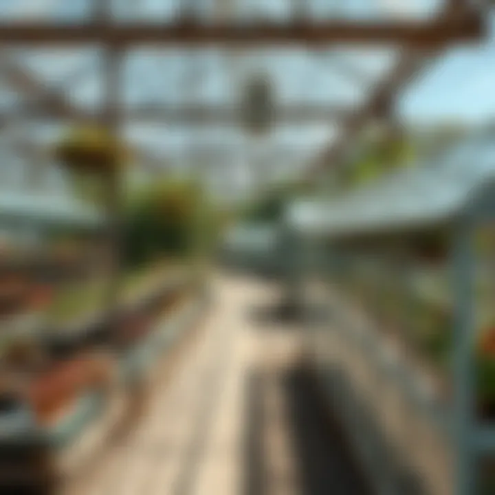 Magnificent Exploring the Market for Small Glass Greenhouses: A Comprehensive Guide Magnificent Exploring the Market for Small Glass Greenhouses: A Comprehensive Guide