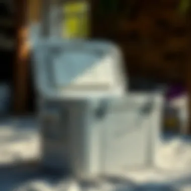 Magnificent Understanding the Freezable Lunch Cooler: A Comprehensive Guide