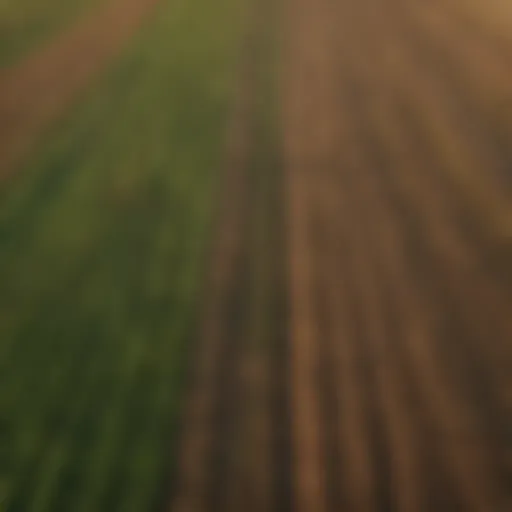 Aerial view of diverse agricultural fields showcasing crop rotation