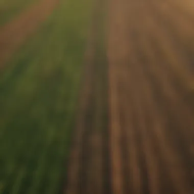 Diverse Agricultural Landscapes Aerial view of diverse agricultural fields showcasing crop rotation