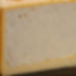 A close-up of hard white cheese showcasing its texture and color