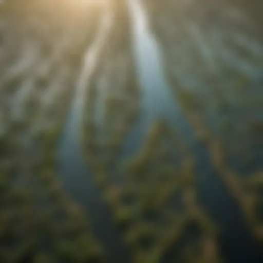 Aerial view of contaminated water sources in Bangladesh