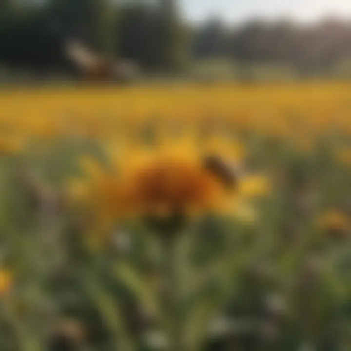 A stunning landscape of flowering fields buzzing with bees, emphasizing biodiversity.