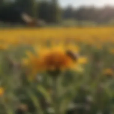 Nature's Pollinators at Work A stunning landscape of flowering fields buzzing with bees, emphasizing biodiversity.