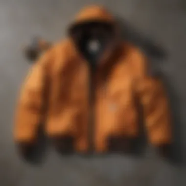 Carhartt Midweight Zip paired with outdoor gear