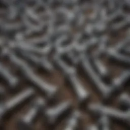 Diverse assortment of carriage bolts