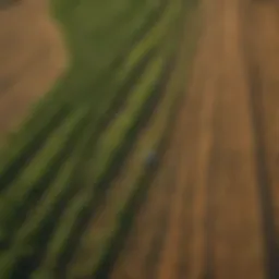 Aerial view of lush agricultural fields under a clear sky