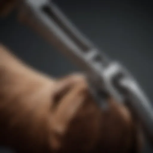 Close-up of a cattle hoof nipper showcasing its sharp cutting blades and ergonomic design