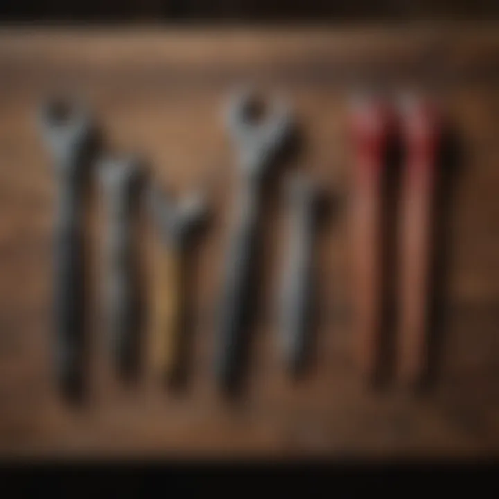 Different types of cattle hoof nippers displayed on a wooden surface, illustrating variety in design