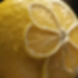Close-up of lemon fruit showcasing its vibrant color and texture