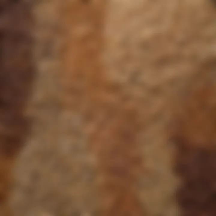 A close-up of various grains showcasing diversity
