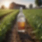 A field being treated with natural disinfectants