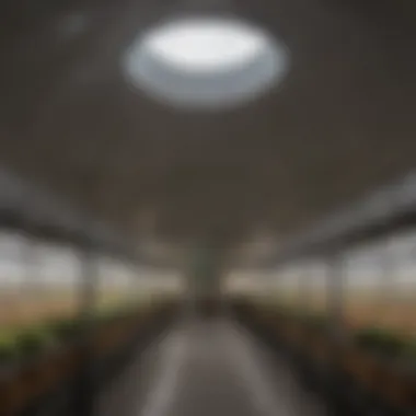 Case study showcasing dome storage in agriculture
