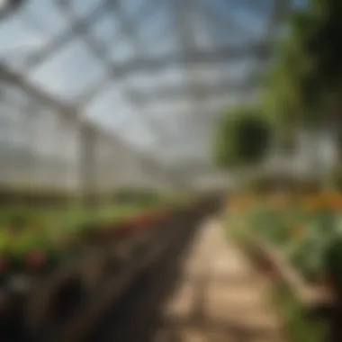 Energy Efficiency in Greenhouse Design Energy efficiency comparison of greenhouse designs