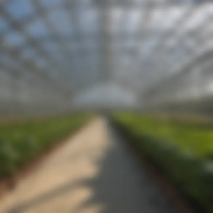 Sustainable horticulture practices with modern greenhouses