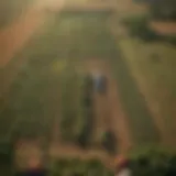 Aerial view of an optimally designed farm layout showcasing diverse crop zones and sustainable practices