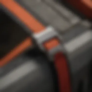 Durability and Design of Erickson Cargo Straps Close-up view of a high-strength cargo strap with robust stitching