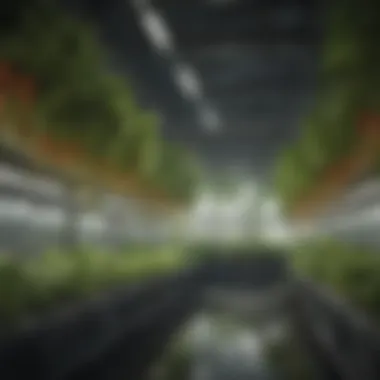 A vibrant hydroponic system showcasing diverse plant varieties in a controlled environment.