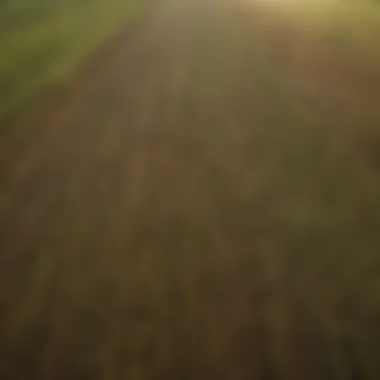 Aerial view of diverse agricultural fields showcasing modern farming techniques