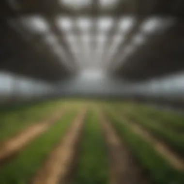 Modern Agricultural Facility An overview of a modern agricultural facility