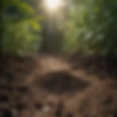 Understanding the Composition of Anderson's Humic Composition of Anderson's humic in soil