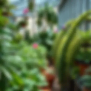 Thriving Indoor Garden with Automation A lush indoor garden thriving with automated irrigation
