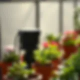 A modern automatic pot plant waterer in action