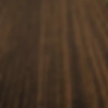 Aerial view of a lush agricultural field exhibiting diverse crop rotations.