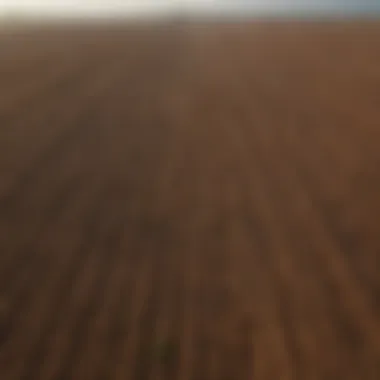 Aerial view of expansive farmland with varying soil types