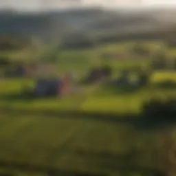 Vibrant West Virginia farmland with crops