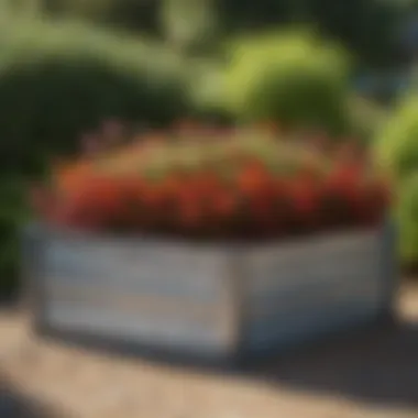 Galvanized Raised Bed in a Vibrant Garden A beautifully designed galvanized raised bed in a garden setting