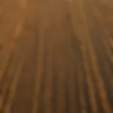 Aerial view of diverse grain fields