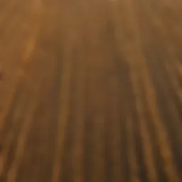 Aerial view of diverse grain fields