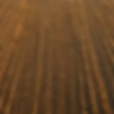 Aerial view of diverse grain fields