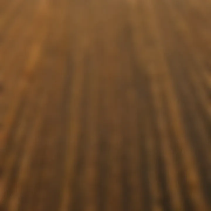 Aerial view of diverse grain fields