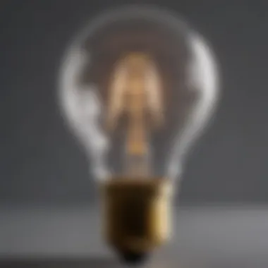Energy Efficiency of Low Heat Light Bulb Technology Close-up of low heat light bulb technology showcasing energy efficiency