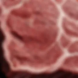 A close-up view of premium beef cuts showcasing marbling and texture.