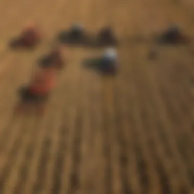 Different types of rotary hay rakes displayed together