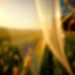 Exploring the Applications and Benefits of 6mm Plastic Sheets Introduction