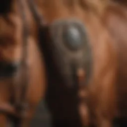Close-up view of the Sensorflex Cinch showcasing its unique design features.