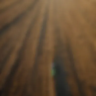 Diversity in Farmland Practices Aerial view of diverse farmland illustrating various agricultural practices