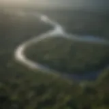 Aerial view showcasing the vastness of the Amazon Rainforest