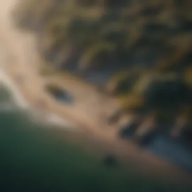 Aerial View of Davenport's Coastline An aerial perspective of the Davenport coastline showcasing the ecosystem where crabs thrive.