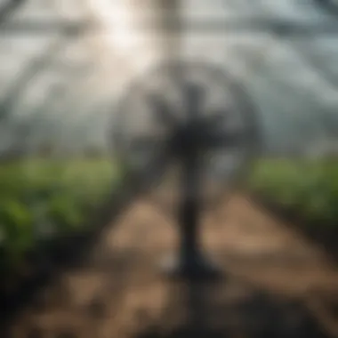 Solar shop fan in a vibrant greenhouse