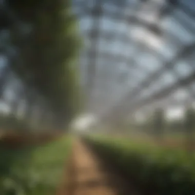 Innovative Canopy Structure Innovative canopy structure providing shade for crops