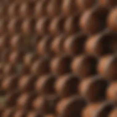 Different types of garden trellis rolls made from various materials