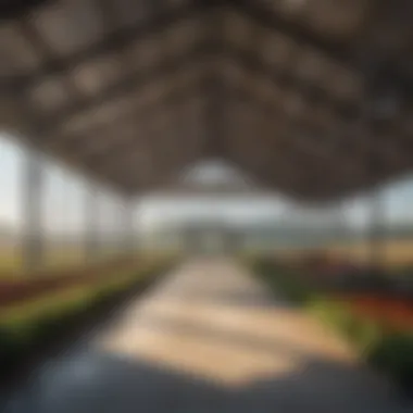 Modern Metal Building Pavilion in Agriculture A vibrant agricultural landscape featuring a modern metal building pavilion