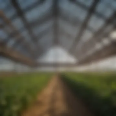 A case study example of metal pavilion in a large agricultural setup