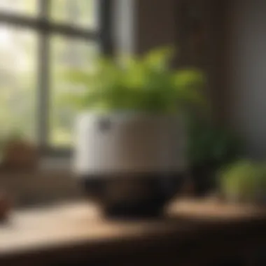 Key Features to Consider When Choosing an Air Purifier Essential features of an effective air purifier