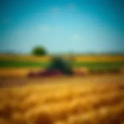 Overview of agricultural land financing options
